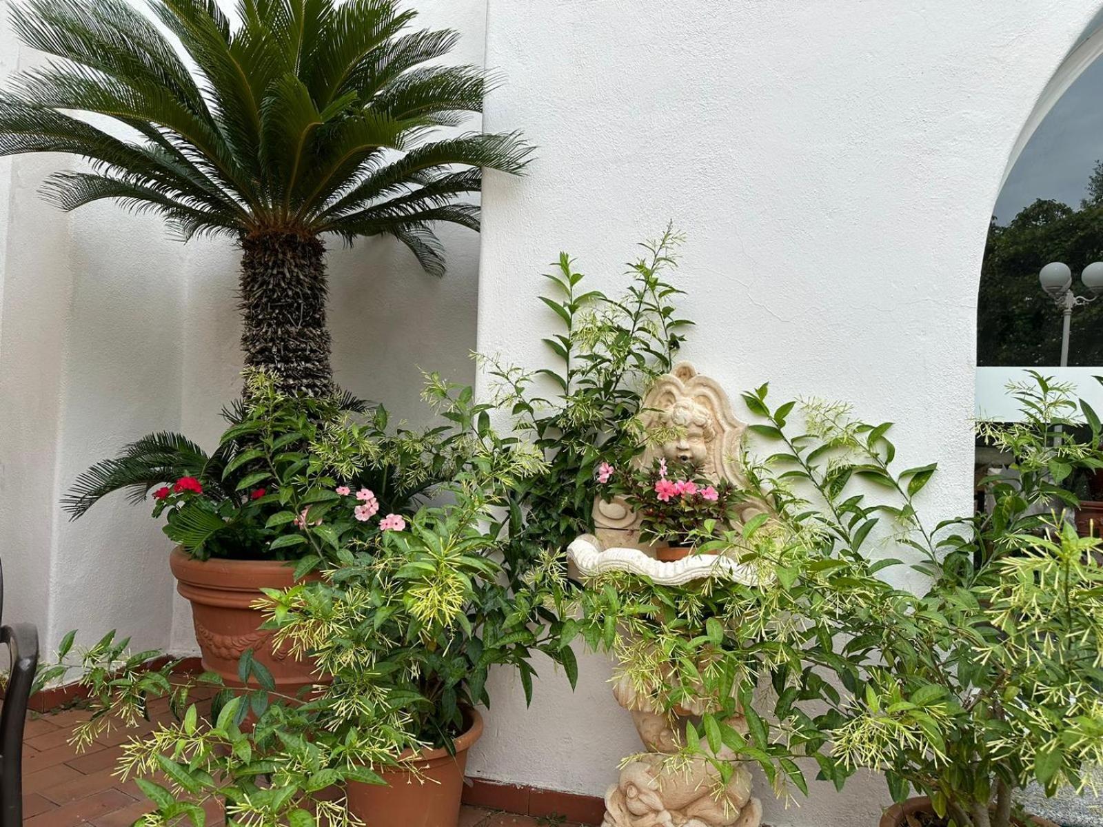 Hotel Park Calitto Forio di Ischia Exterior foto