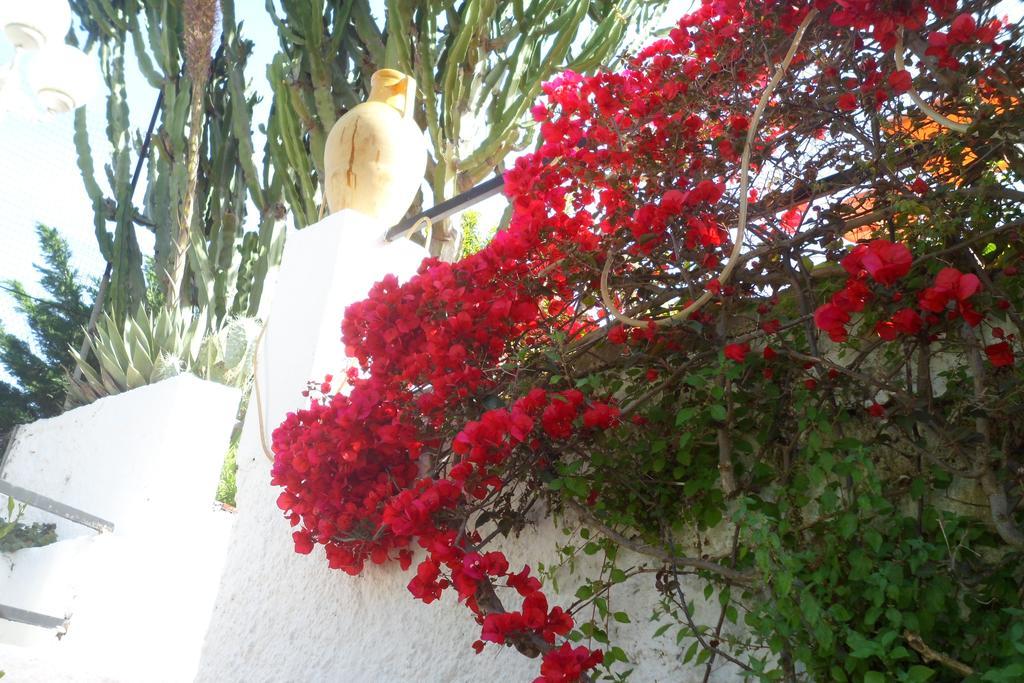 Hotel Park Calitto Forio di Ischia Exterior foto