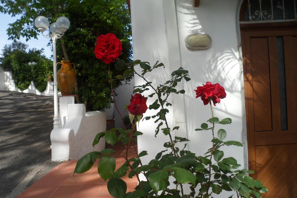 Hotel Park Calitto Forio di Ischia Exterior foto