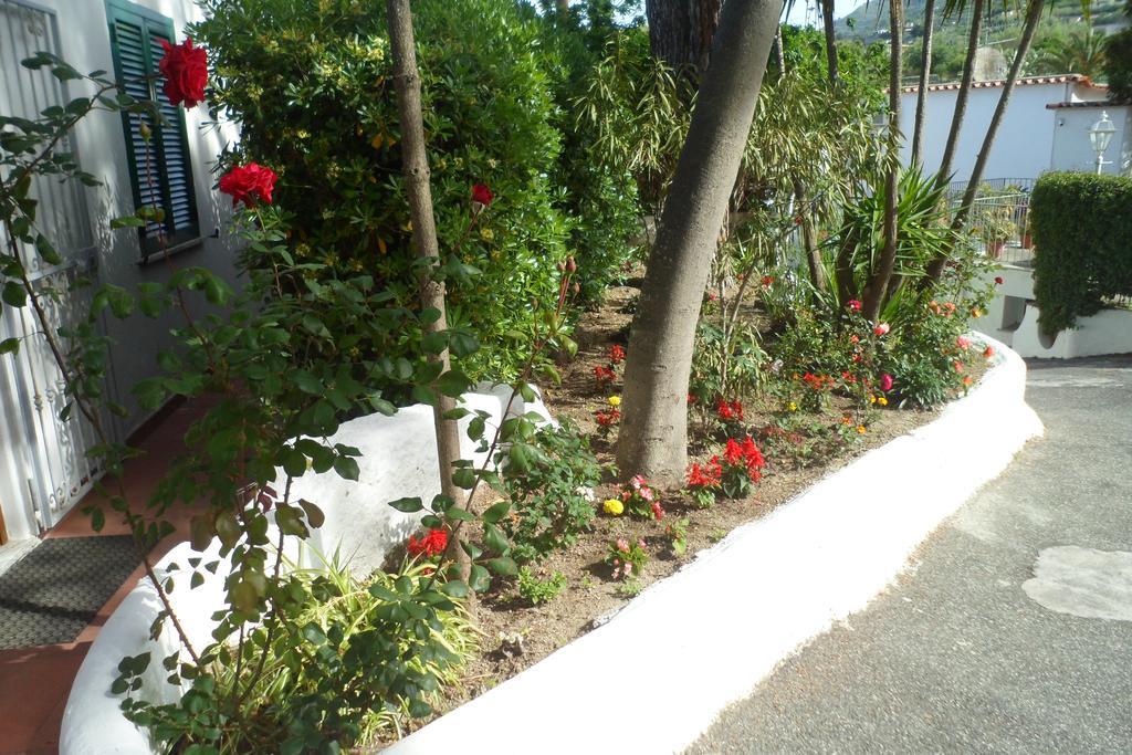 Hotel Park Calitto Forio di Ischia Exterior foto